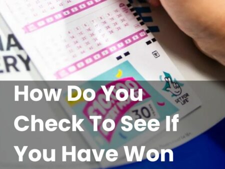 How Do You Check To See If You Have Won Set For Life?