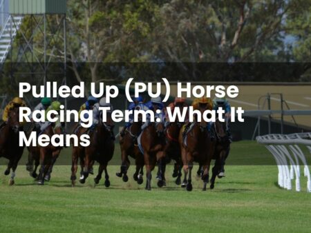 Pulled Up (PU) Horse Racing Term: What It Means