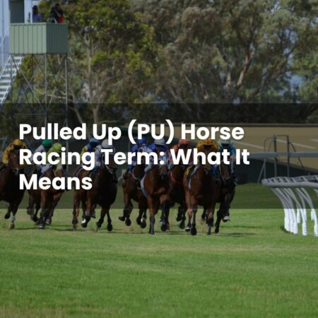 Pulled Up (PU) Horse Racing Term: What It Means