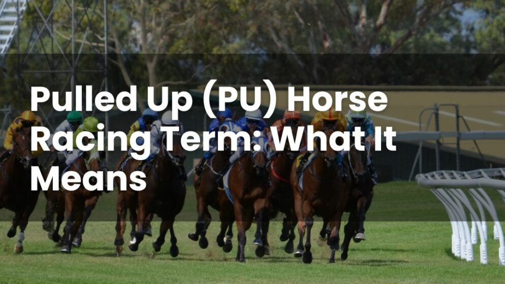Pulled Up (PU) Horse Racing Term: What It Means