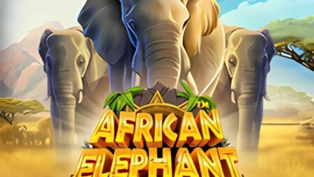 African Elephant Slot