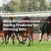 Most Accurate Horse Racing Predictor for Winning Bets