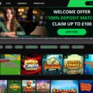 Ivy Casino