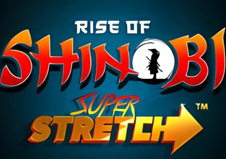 Rise of Shinobi Slot