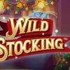 Wild Stocking Slot
