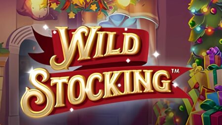 Wild Stocking Slot