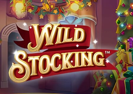 Wild Stocking Slot