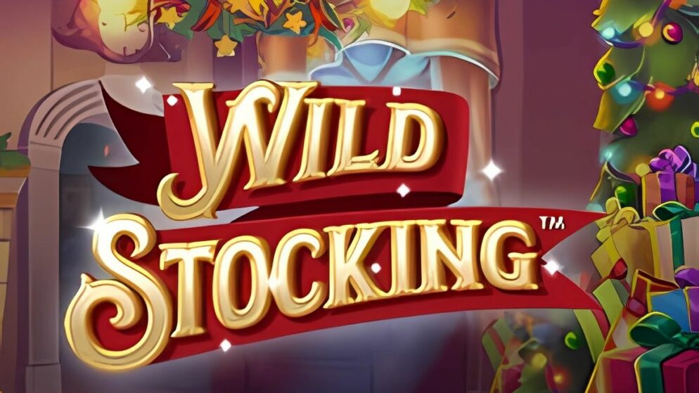 Wild Stocking Slot
