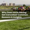 Why Does Horse Racing Get Cancelled? Common Reasons & Insights