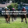 Will Animal Welfare Lead to a Ban on Horse Racing?