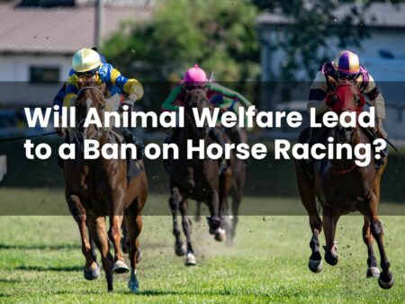 Will Animal Welfare Lead to a Ban on Horse Racing?