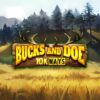 Bucks and Doe 10K Ways Slot