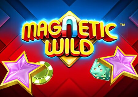 Magnetic Wild Slot