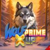 Wolf Prime X UP Slot