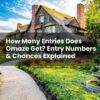 How Many Entries Does Omaze Get? Entry Numbers & Chances Explained