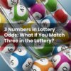 3 Numbers in Lottery Odds: What If You Match Three in the Lottery?