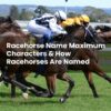 Racehorse Name Maximum Characters & How Racehorses Are Named