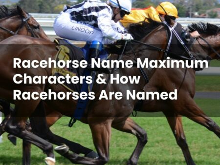Racehorse Name Maximum Characters & How Racehorses Are Named
