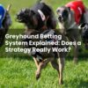 Greyhound Betting System Explained: Does a Strategy Really Work?
