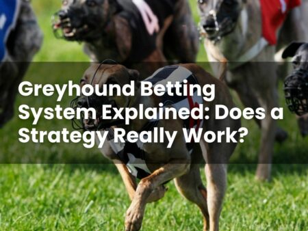 Greyhound Betting System Explained: Does a Strategy Really Work?