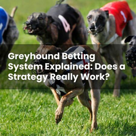 Greyhound Betting System Explained: Does a Strategy Really Work?