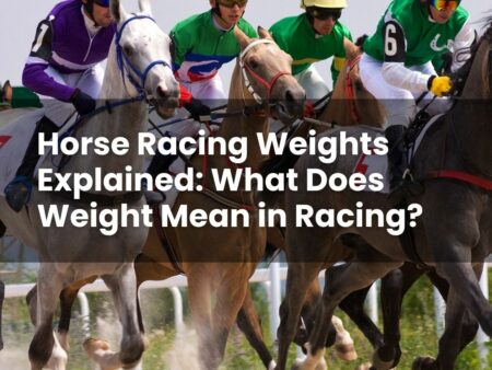 Horse Racing Weights Explained: What Does Weight Mean in Racing?