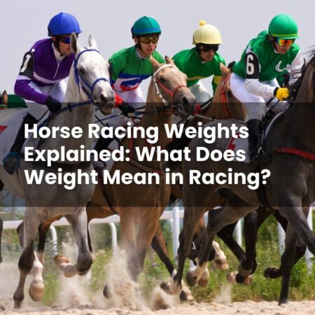 Horse Racing Weights Explained: What Does Weight Mean in Racing?