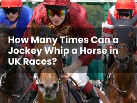 How Many Times Can a Jockey Whip a Horse in UK Races?