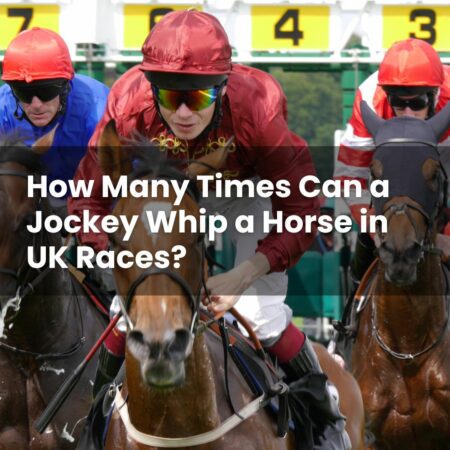 How Many Times Can a Jockey Whip a Horse in UK Races?
