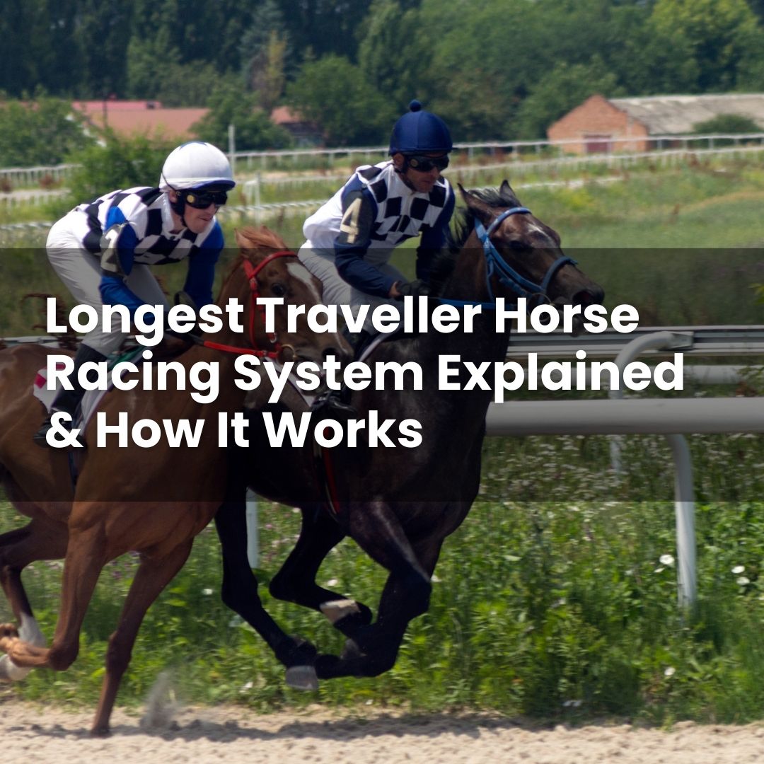 Longest Traveller Horse Racing System Explained & How It Works - Chief ...