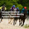 My Mathematical Formula Horse Racing System Explained