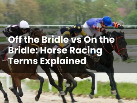 Off the Bridle vs On the Bridle: Horse Racing Terms Explained