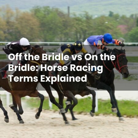 Off the Bridle vs On the Bridle: Horse Racing Terms Explained