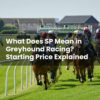What Does SP Mean in Greyhound Racing? Starting Price Explained