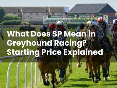 What Does SP Mean in Greyhound Racing? Starting Price Explained