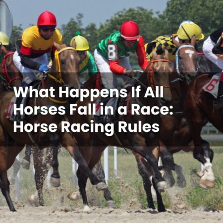 What Happens If All Horses Fall in a Race: Horse Racing Rules