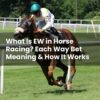 What Is EW in Horse Racing? Each Way Bet Meaning & How It Works