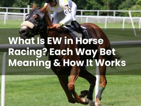 What Is EW in Horse Racing? Each Way Bet Meaning & How It Works