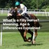 What Is a Filly Horse? Meaning, Age & Differences Explained