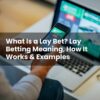What Is a Lay Bet? Lay Betting Meaning, How It Works & Examples