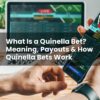 What Is a Quinella Bet? Meaning, Payouts & How Quinella Bets Work