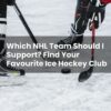Which NHL Team Should I Support? Find Your Favourite Ice Hockey Club
