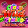 Crazy Wild Fruits Slot