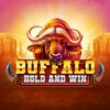 Buffalo Hold and Win Slot