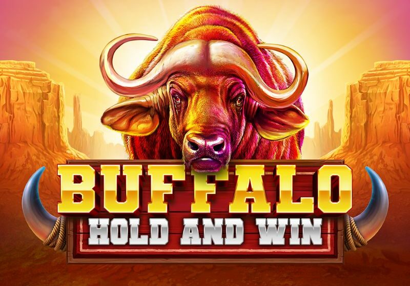 Buffalo Hold and Win Slot
