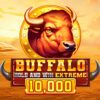 Buffalo Hold and Win Extreme 10 000 Slot