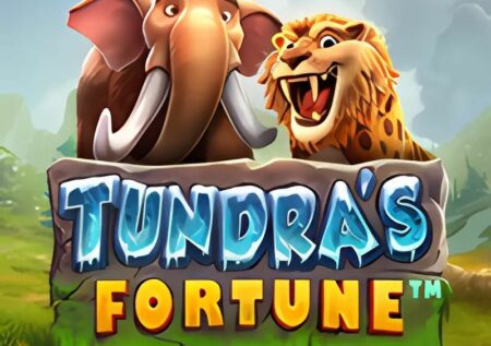 Tundra’s Fortune Slot