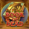 Book of Dead Slot