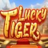 Lucky Tiger Slot