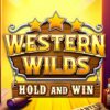 Western Wilds Hold And Win Slot